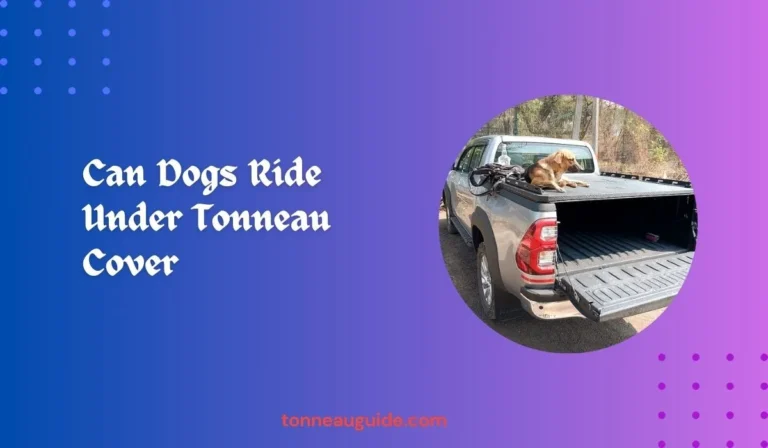 Can Dogs Ride Under Tonneau Cover