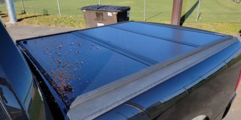 Dust and Debris Infiltration